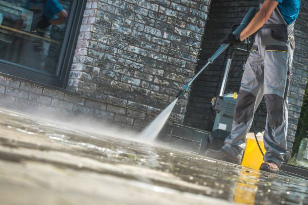 Best Roof Washing  in Thompsons Station, TN